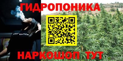 гашик Малгобек