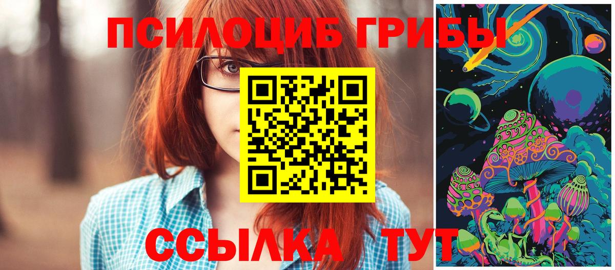 Псилоцибиновые грибы Psilocybe  Псилоцибиновые грибы мицелий  Тихвин  Вход с VPN 