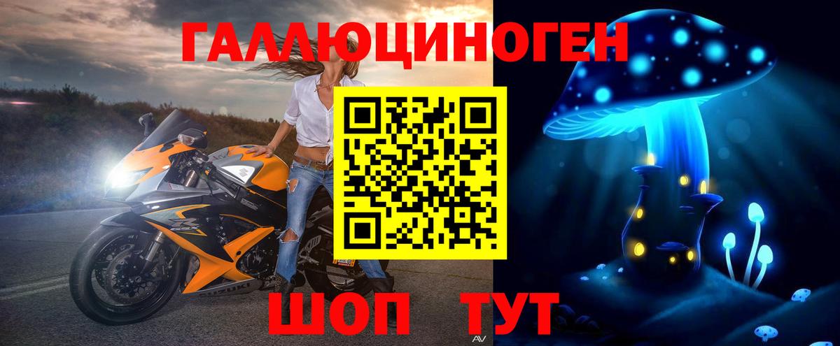 Псилоцибиновые грибы Cubensis Тихвин